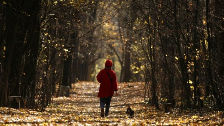 Снимка: Архив Reuters