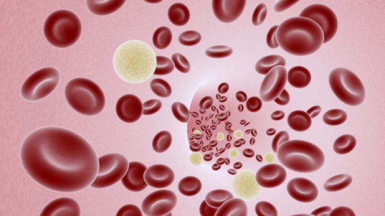 Снимка: freeimages.com