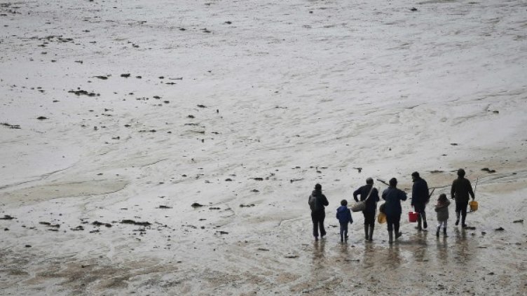 Снимка: архив Reuters