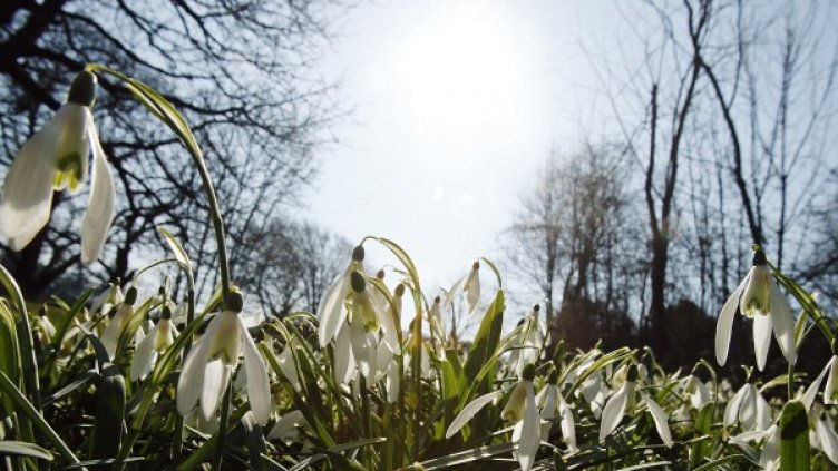 Снимка: Архив Reuters