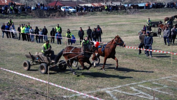 Снимка: Булфото