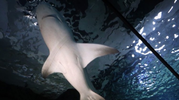 Снимка: Ройтерс