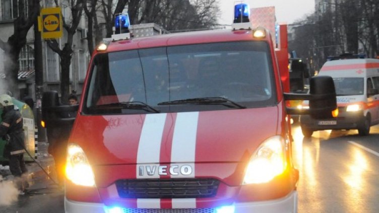 Снимка: Булфото, архив