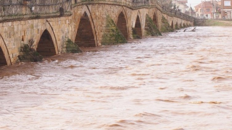 Архив: Булфото