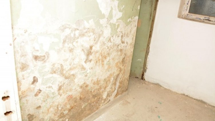 Снимка: Булфото, ахрив