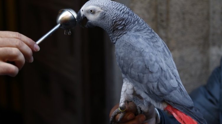 Снимка: Reuters, архив