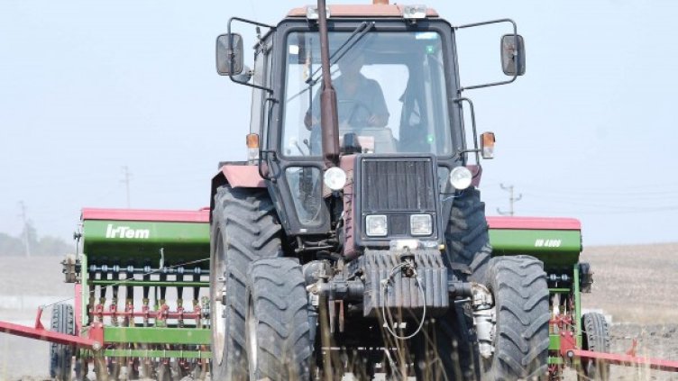 Снимка: Булфото, ахрив