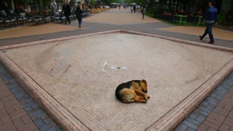 Неработещият фонтан на "Витошка". Снимка: bTV