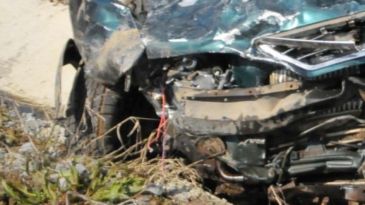 Снимка: Булфото