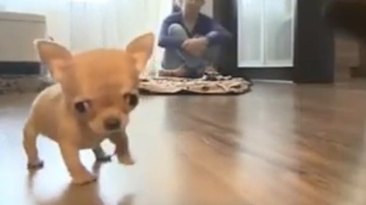 Снимка: YouTube