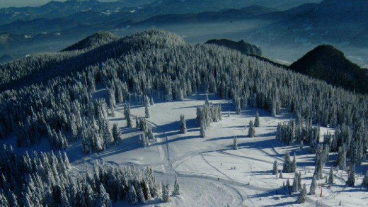 Снимка: архив, Булфото