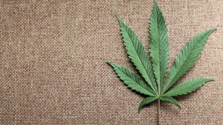 Снимка: Reuters, архив