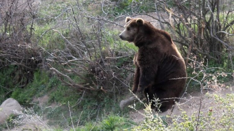 Снимка: Булфото, архив