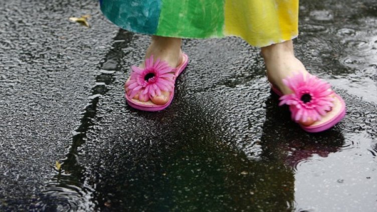 Снимка: Reuters, архив