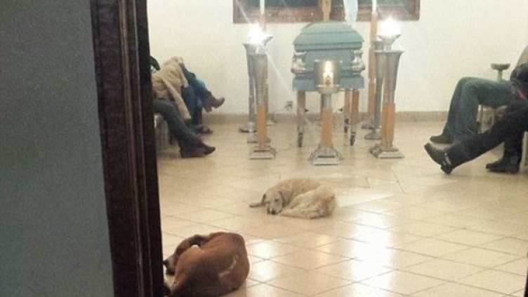 Снимка: Facebook