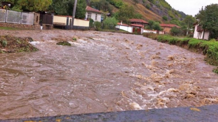 Снимка: Булфото, архив