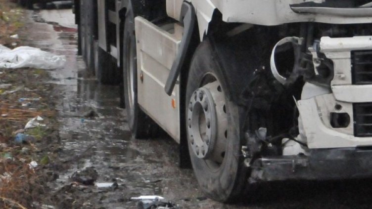 Снимка: архив Булфото