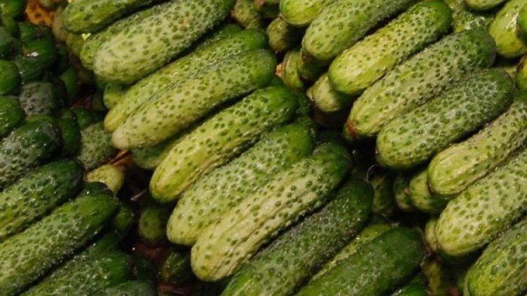 Снимка: архив Булфото