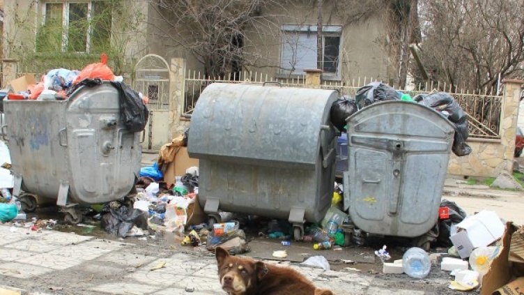 Снимка: Булфото, архив