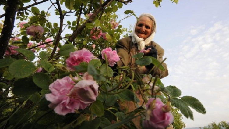 Снимка: Булфото, архив