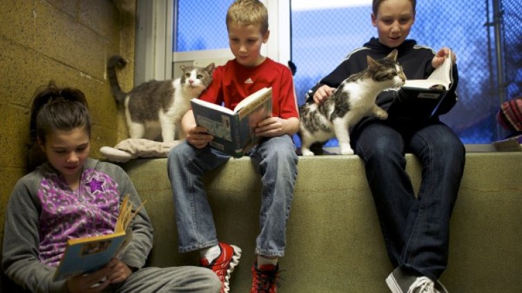 Снимка: Reuters, архив