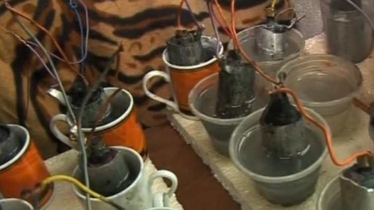 Снимка: Novatv