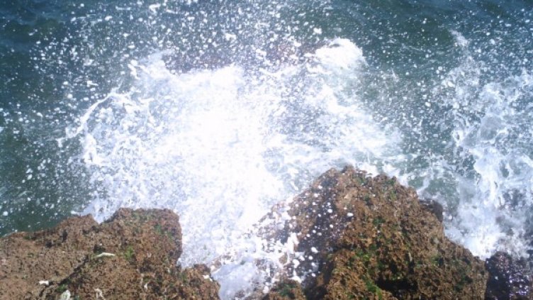 Снимка& Facebook