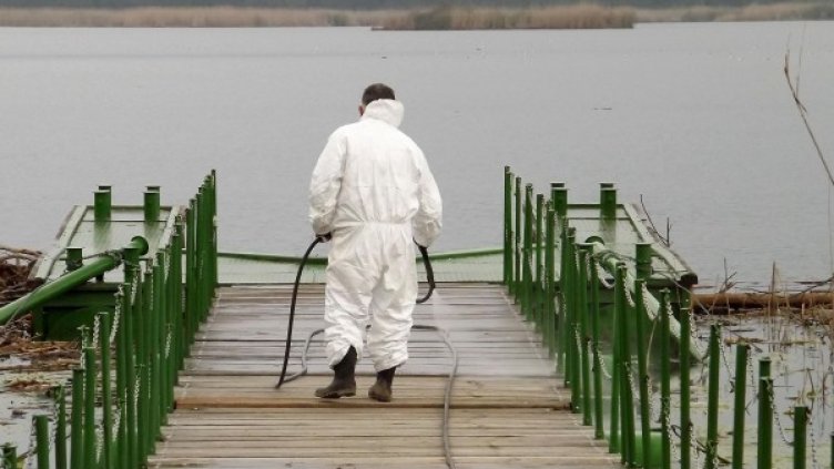 Снимка: Булфото