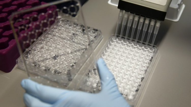 Снимка: Reuters, архив