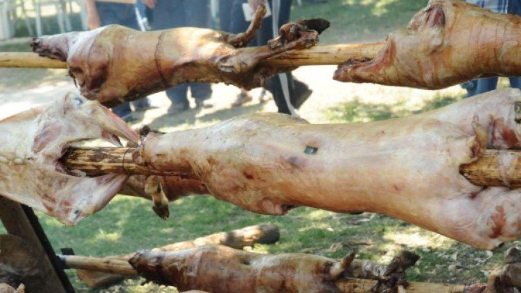 Снимка: архив, Булфото