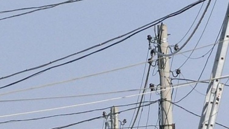 Снимка: Булфото, архив