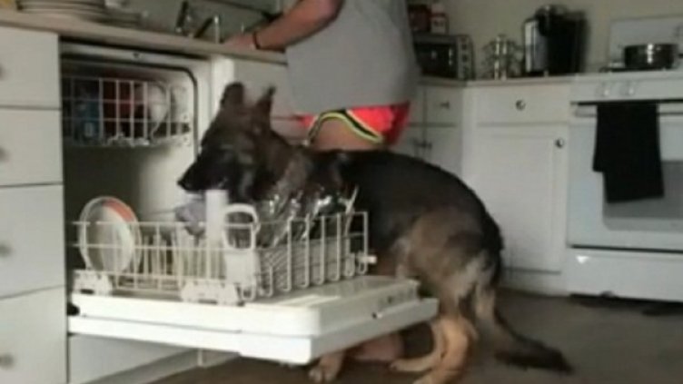 Снимка: YouTube