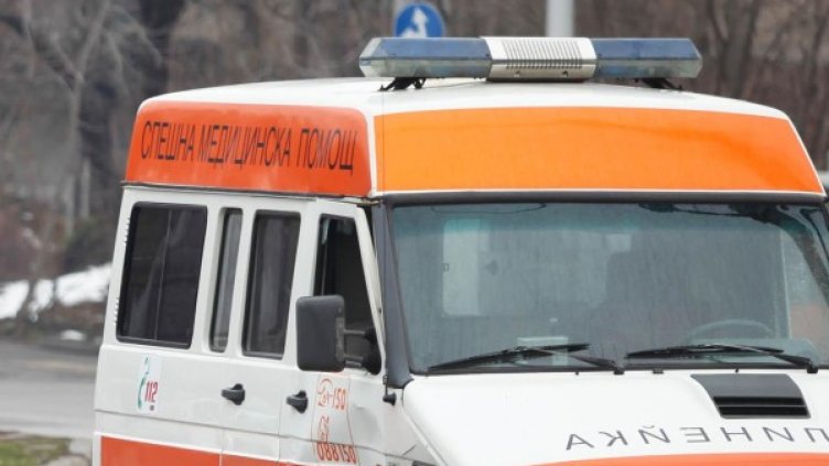 Снимка: архив, Булфото