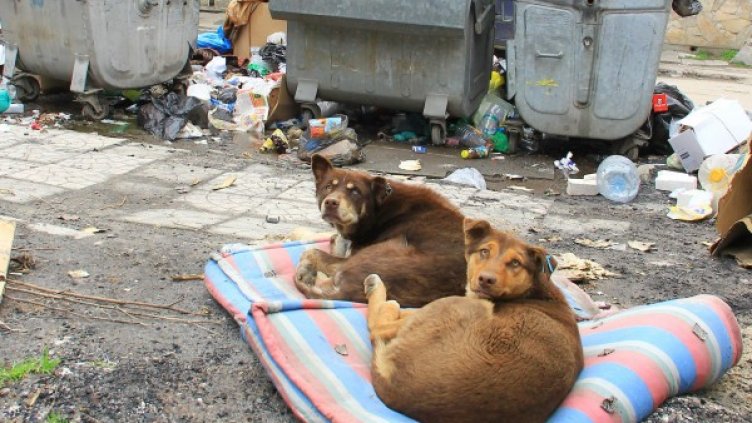 Снимка: архив, Булфото