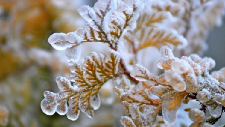 Снимка: архив, БулФото