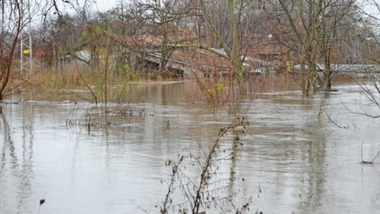 Архив: Булфото