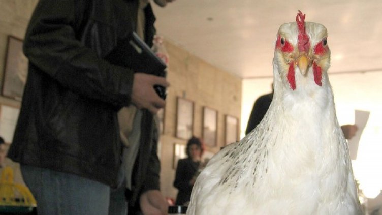 Снимка: Булфото, ахрив