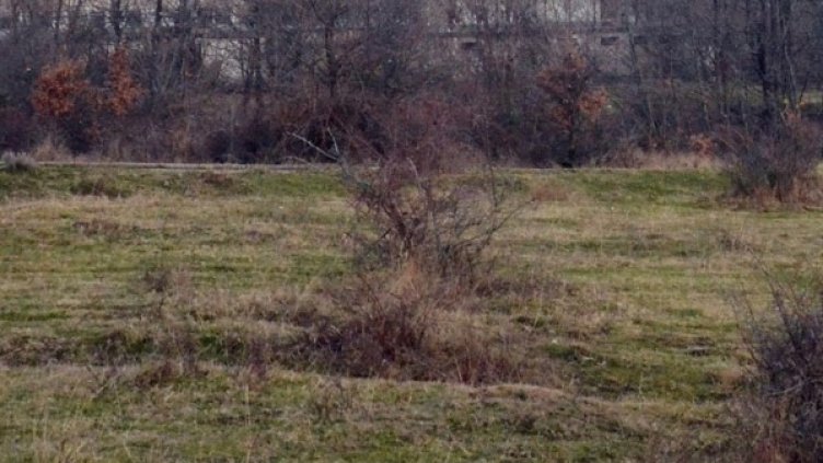 Снимка, архив Булфото