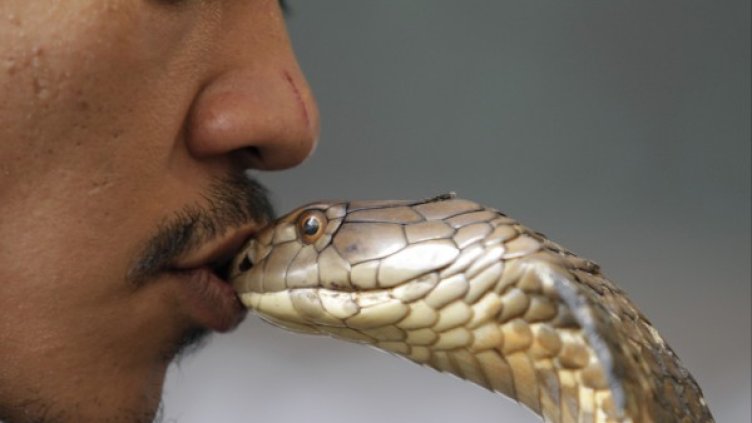 Снимка: Reuters, архив