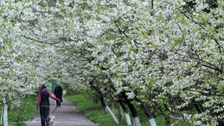 Снимка: архив Булфото