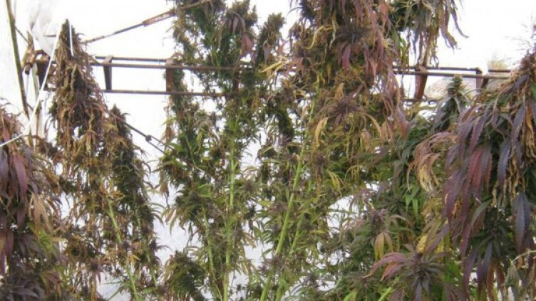 Снимка: Булфото, архив