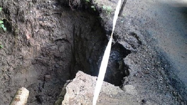 Снимка: архив, Булфото