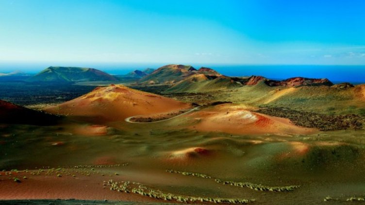 Снимка: Photosynthesis