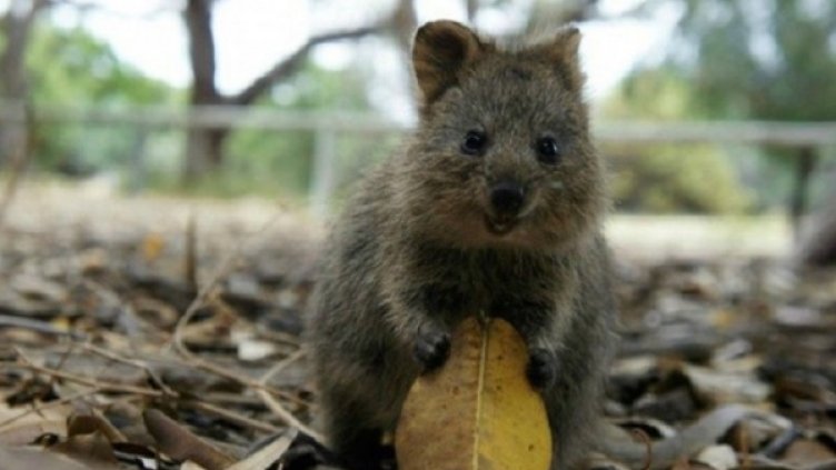 Снимка: Adme.ru