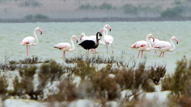 Снимка: Reuters, архив