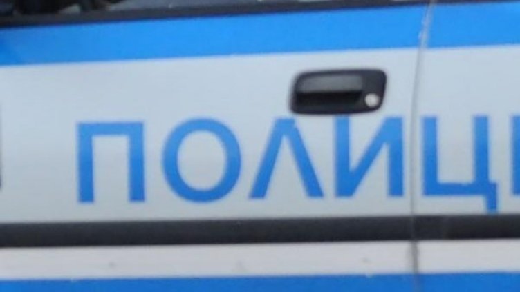 Снимка: архив Булфото