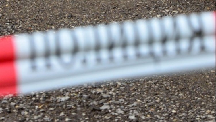 Снимка: архив Булфото