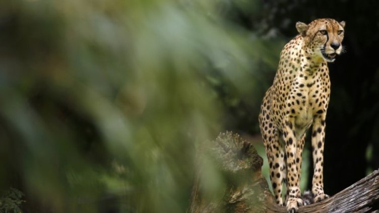 Снимка: Reuters