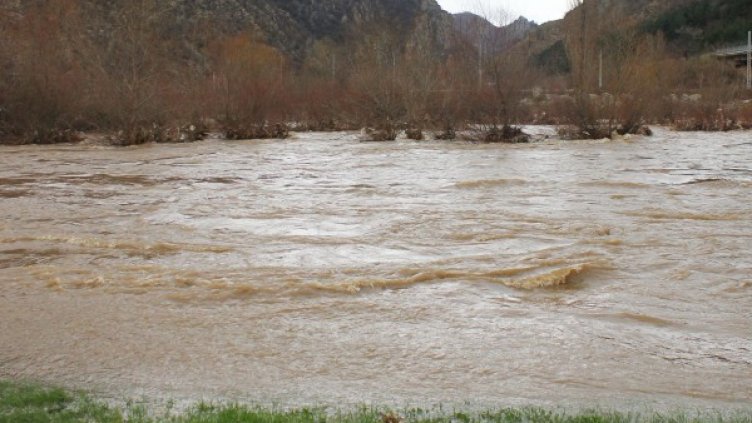 Снимка: Булфото, архив