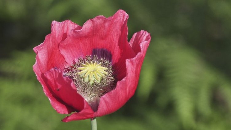 Снимка: Reuters